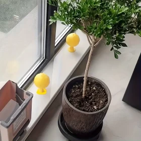 Fruit Fly Trap Ball – Sticky & Effective Fly Control Solution