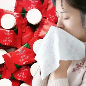 Compressed Cotton Travel Towels Resealable Pack -20 pcs